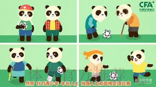 《熊猫说球》第三集：球和球场